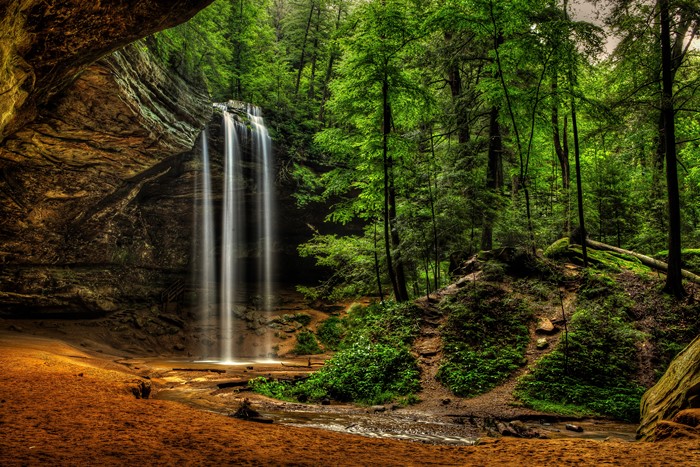 Waterfall in a lush green forest