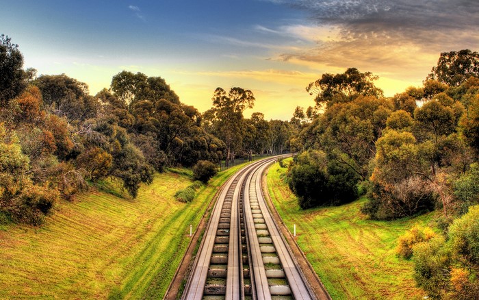 Railroad tracks through a forest at sunset