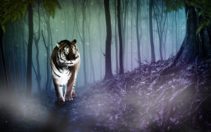 Tiger walking in a mystical forest