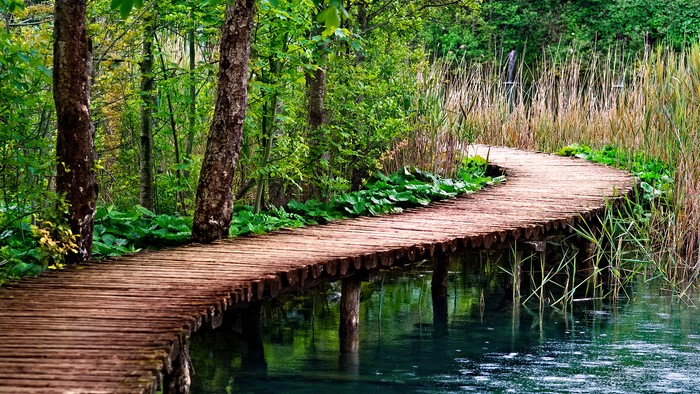 Wooden boardwalk over a tranquil lake in a forest