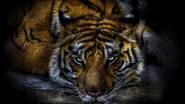 Tiger
