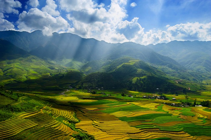 Terraced rice fields in Vietnam with sunbeams