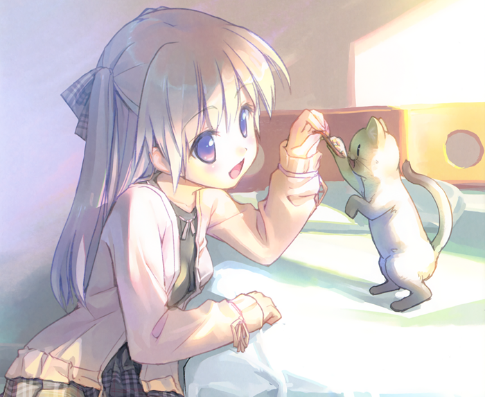 Girl playing with a cat