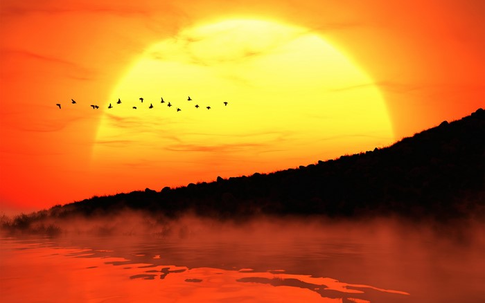 Sunset over water with birds flying