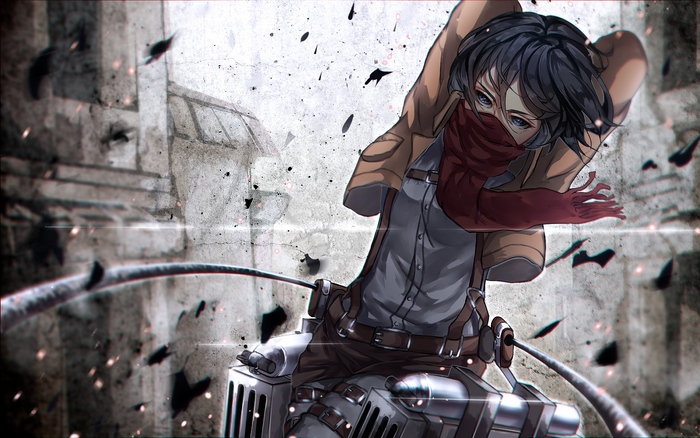 Mikasa Ackerman from Attack on Titan