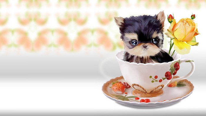 Puppy in a teacup with a rose