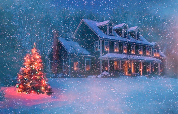 Christmas tree and house in snowfall