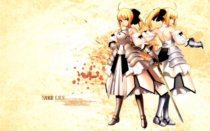 Saber Lily from Fate/unlimited codes