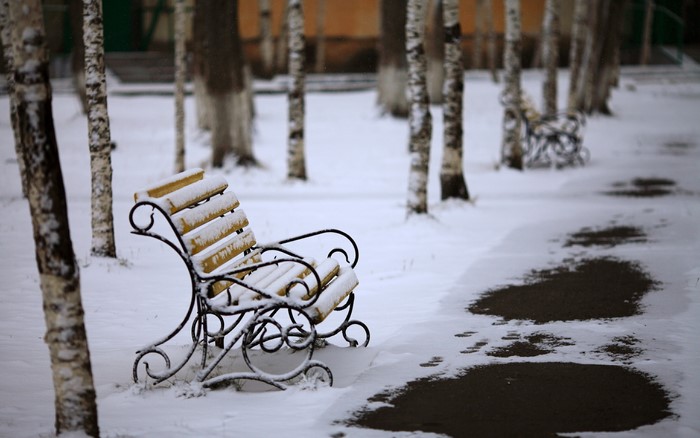 Park bench covered in snow