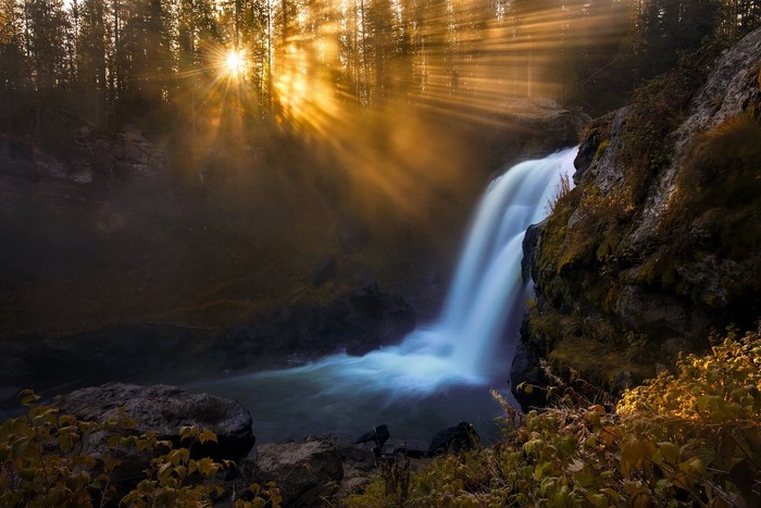 Sunbeams shine through trees onto a waterfall