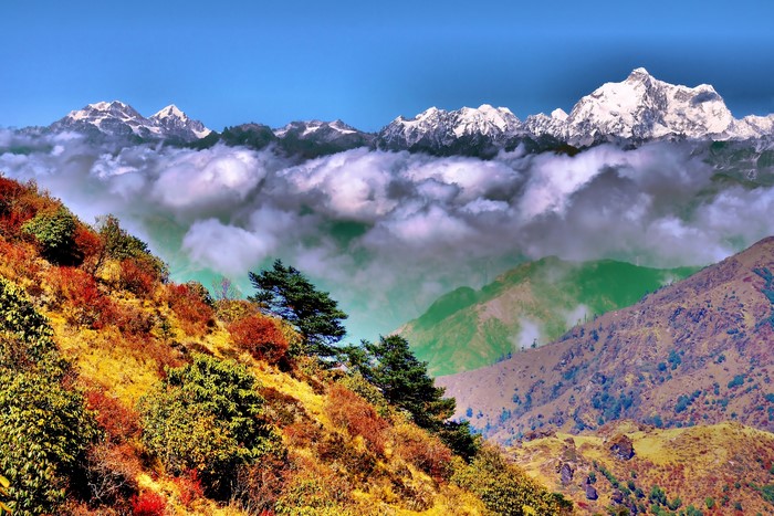 Himalayas, India, Singalila Ridge