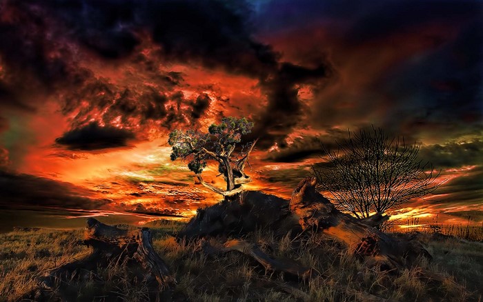 Dramatic Sunset Over Barren Landscape with Trees