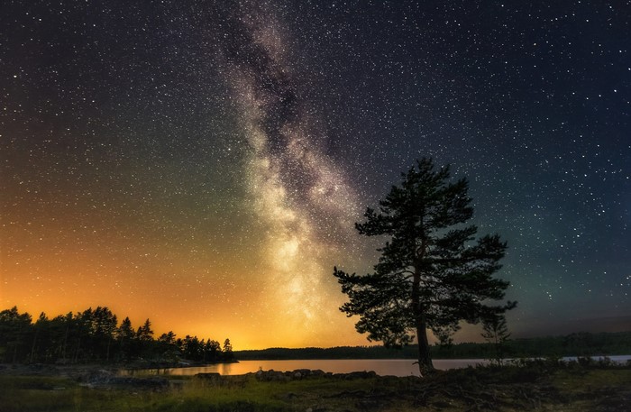Milky Way over a lake with a tree