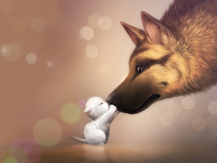 German Shepherd and Kitten Kissing
