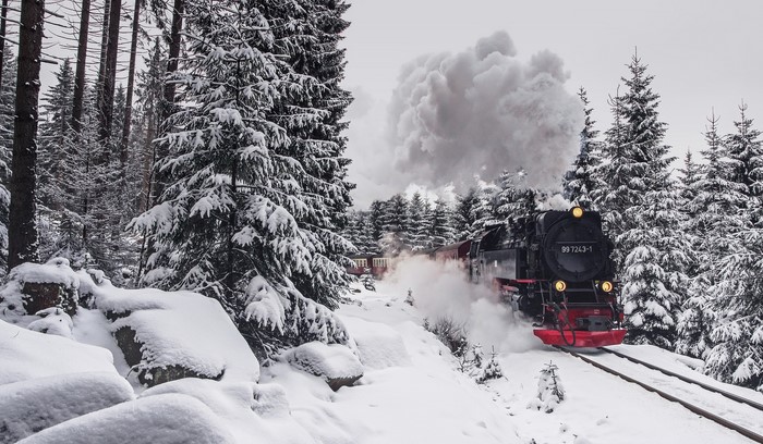 Steam train in a snowy forest
