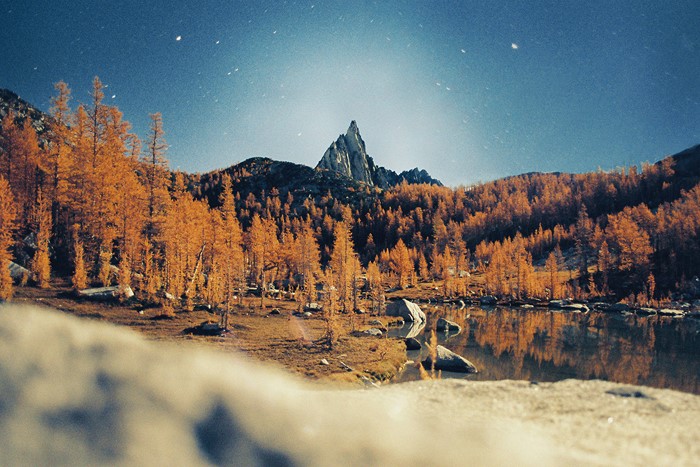 Autumn Larches Reflecting in a Mountain Lake Under a Starry Sky