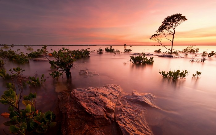 Sunset over a calm body of water with trees and rocks