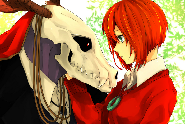 Chise Hatori and Elias Ainsworth from The Ancient Magus Bride