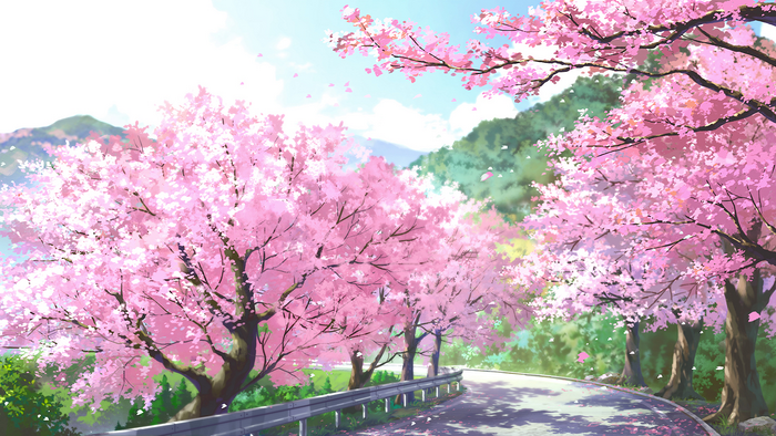 Serene Road Lined with Blooming Cherry Blossoms