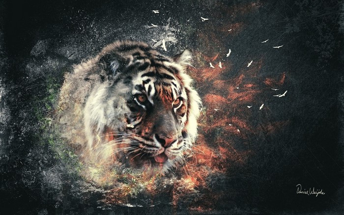 Tiger emerging from smoke and nature