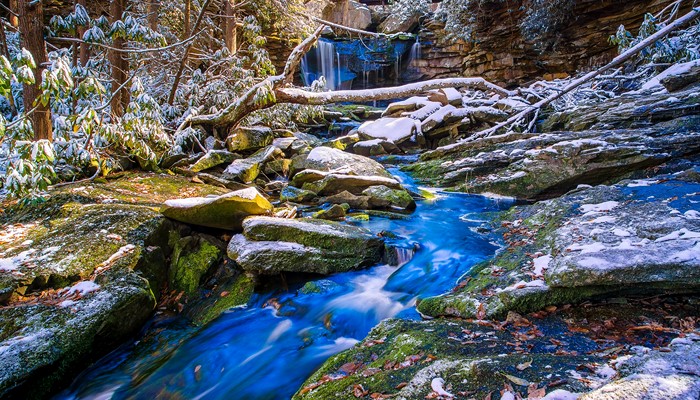 Snowy Forest Stream and Waterfall