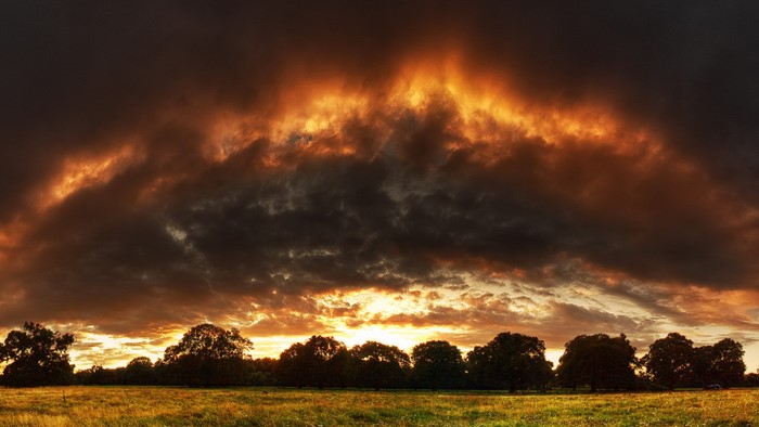 Dramatic sunset over a field with trees