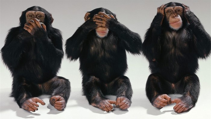 Three monkeys covering their eyes, ears, and mouth