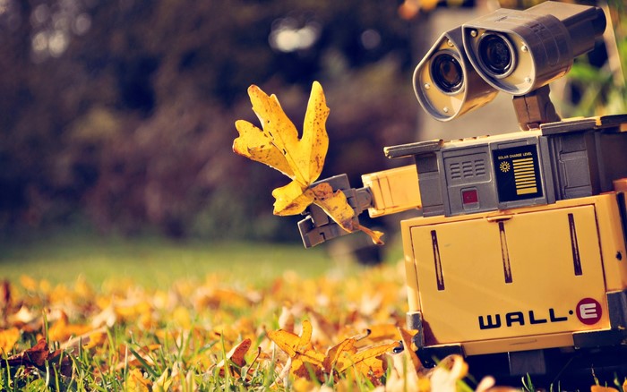 Wall-E holding a yellow leaf in autumn