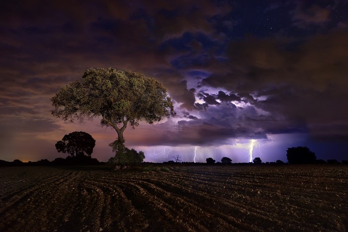 Lightning storm over a field with trees at night