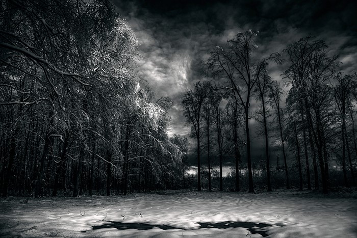 Black and white winter forest with snow and dark clouds