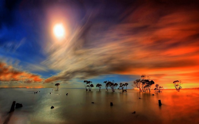 Sunset over a flooded landscape with trees