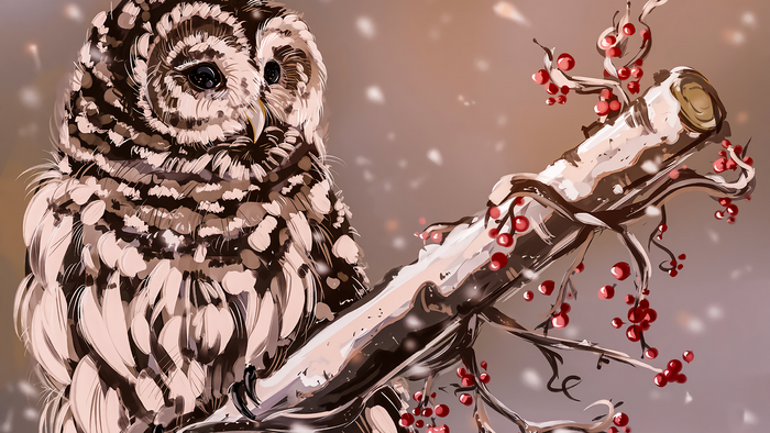Barred owl perched on a snowy branch with berries