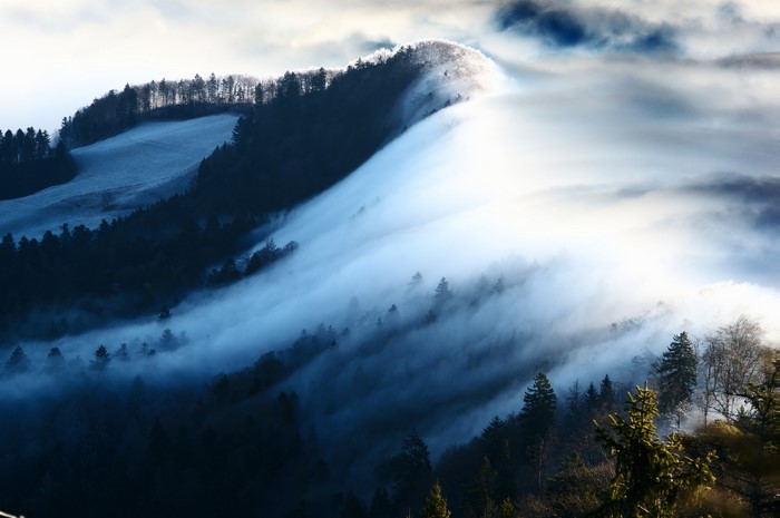 Fog rolling over a forest on a mountain in winter