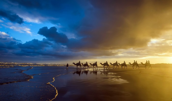Camels and riders on a beach at sunset