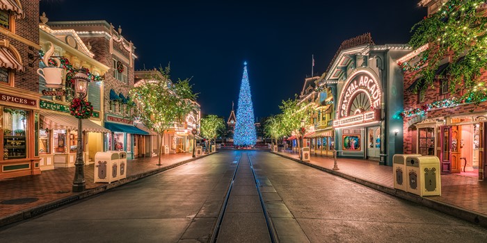 Disneyland Main Street Christmas Tree at Night
