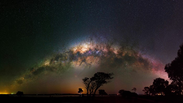 Milky Way Arching Over Silhouetted Trees at Night