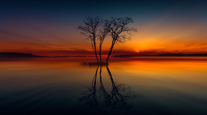 Bare trees reflected in a lake at sunset