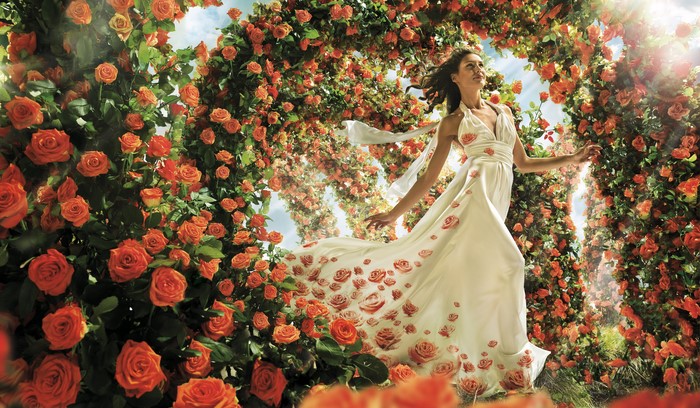 Woman in a rose-patterned dress in a rose garden