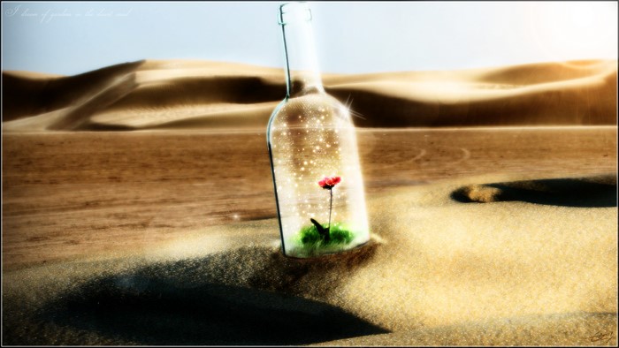 Message in a bottle with a flower in the desert
