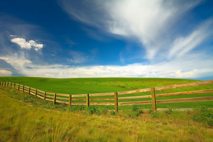 Wooden fence in a green field under a blue sky