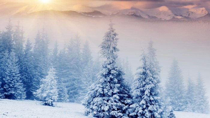 Snowy forest with mountains and sun