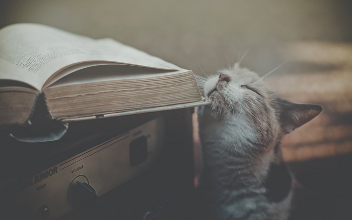 Cat sniffing an open book on a device