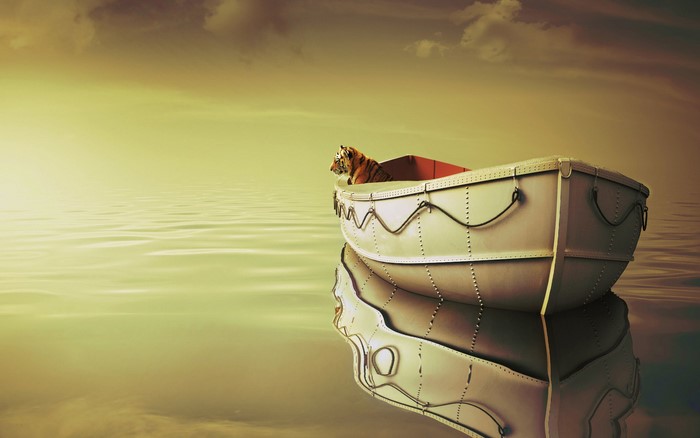 Life of Pi: Tiger in a Boat