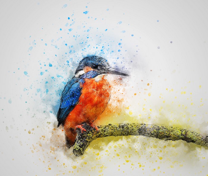 Kingfisher bird perched on a mossy branch, watercolor painting