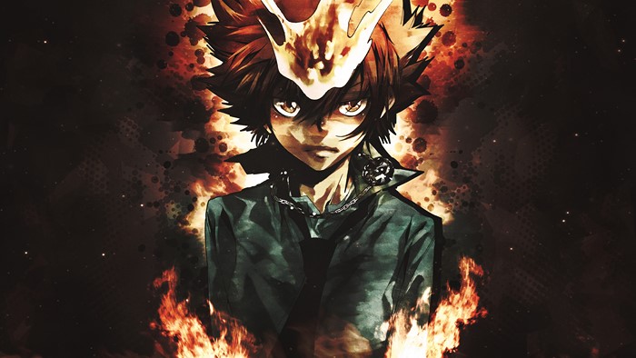Tsunayoshi Sawada from Katekyo Hitman Reborn! 4K