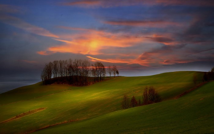 Sunrise over rolling green hills with trees