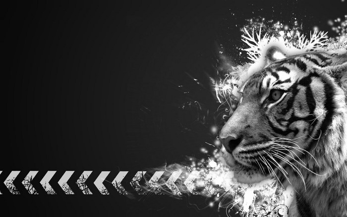 Tiger with abstract design