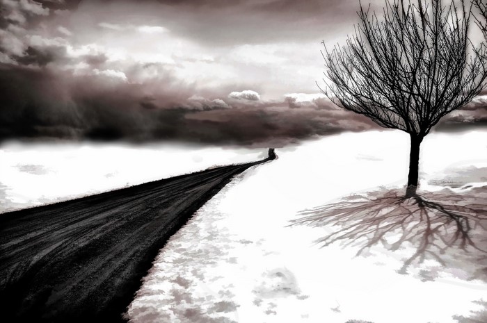 Road through snowy landscape with bare tree and stormy sky