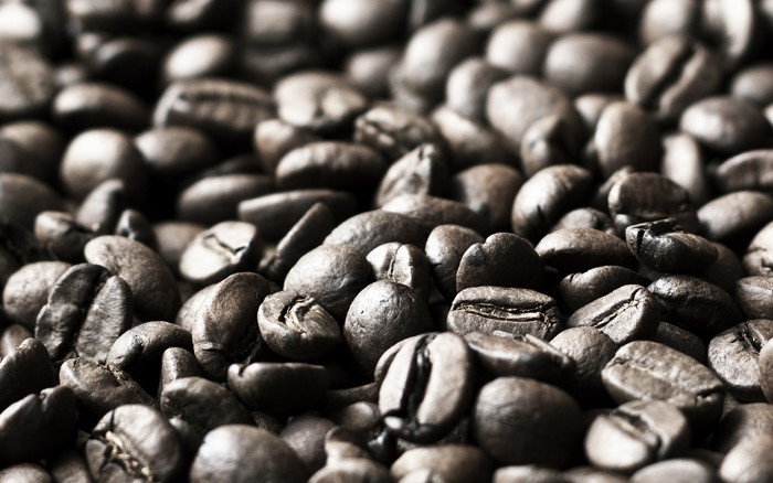 Close-up of roasted coffee beans