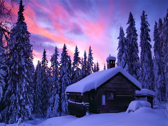 Snowy cabin in forest during sunset